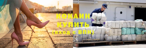 шишки Покровск