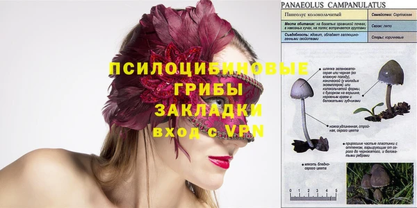 гидропоника Абаза