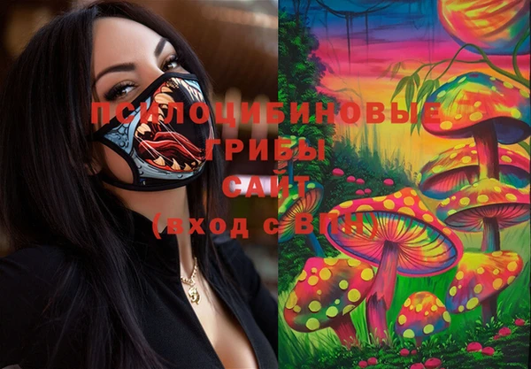 каннабис Покачи